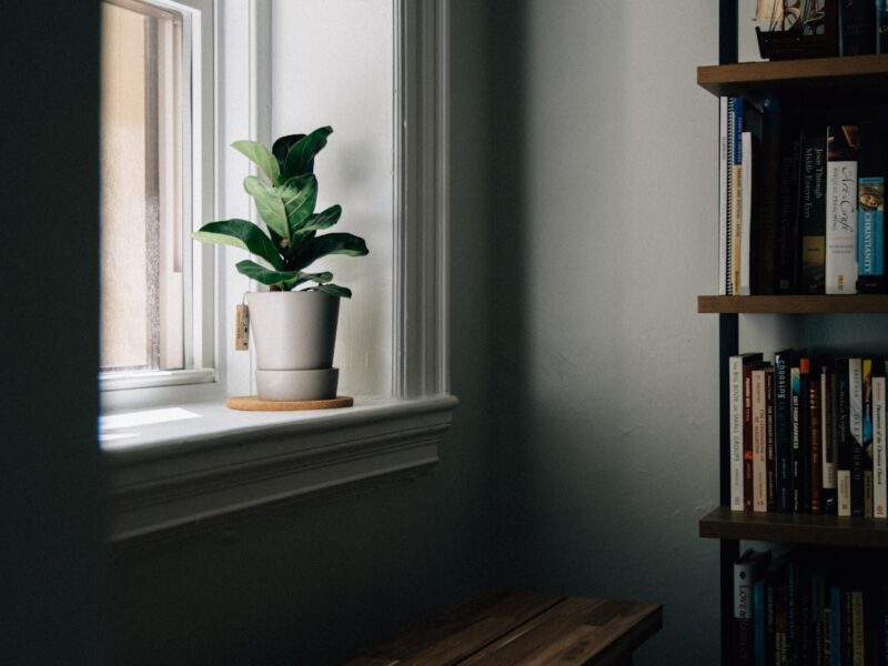A quiet public library interior with tall bookshelves and an empty reading table beside a window in warm daylight