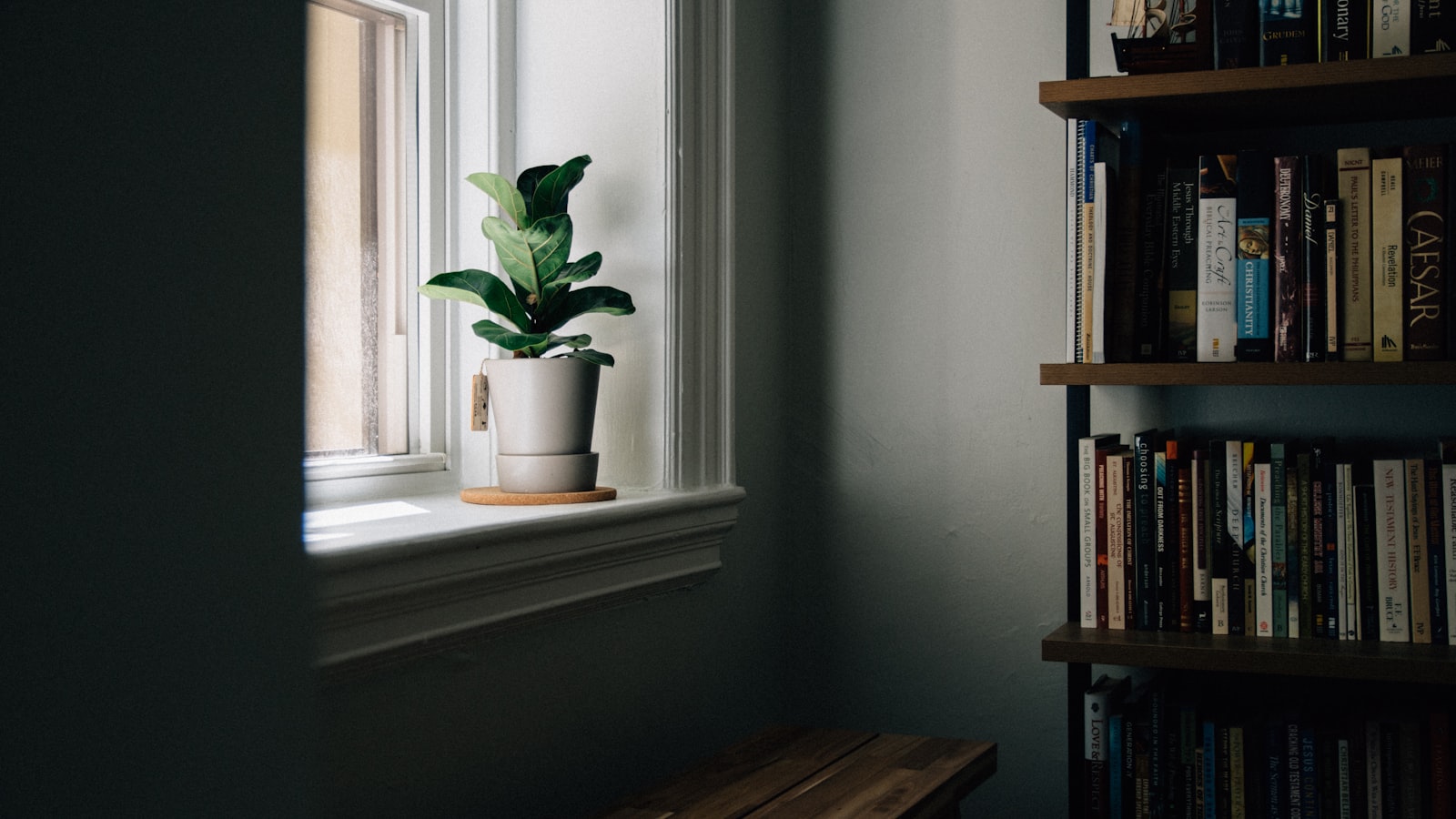 A quiet public library interior with tall bookshelves and an empty reading table beside a window in warm daylight